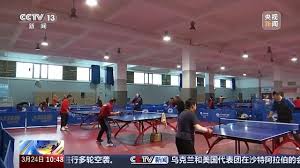 世界杯官网线上平台 户外乒乓球台模型下载